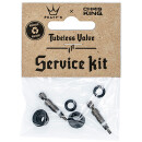 Peatys x Chris King Tubeless Valves Service Kit,