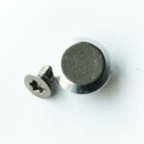 Brooks Cambium replacement rivets with Torx screw