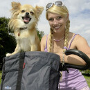 Klick-fix Doggy handlebar bag, gray / black Volume: 24 liters, up to 7kg