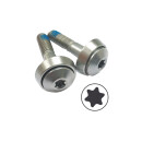 by.Schulz G.2 saddle clamp screws pair M6 with Torx T25...
