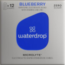 waterdrop Microlyte Blueberry (12 Pack)