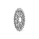 absoluteBLACK, chainring, OVAL, MTB, for Sram, DIRECT MOUNT, T-TYPE Transmission, 3mm offset, Boost, TITAN - silver, 32 teeth