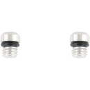 Trickstuff bleeder screws, silver, 2x T10 M5 + O-rings