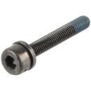 Shimano Road fixing bolt for brake caliper, Y-817 43300, M5 x 36.8 mm, for 30 mm strut