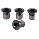 Shimano XTR/Ultegra chainring bolts small chainring,...