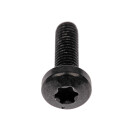 Bosch Torx screw T20 for stone chip protection