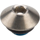 Nipplo dellolio Shimano argento per SG-S700 con O-ring